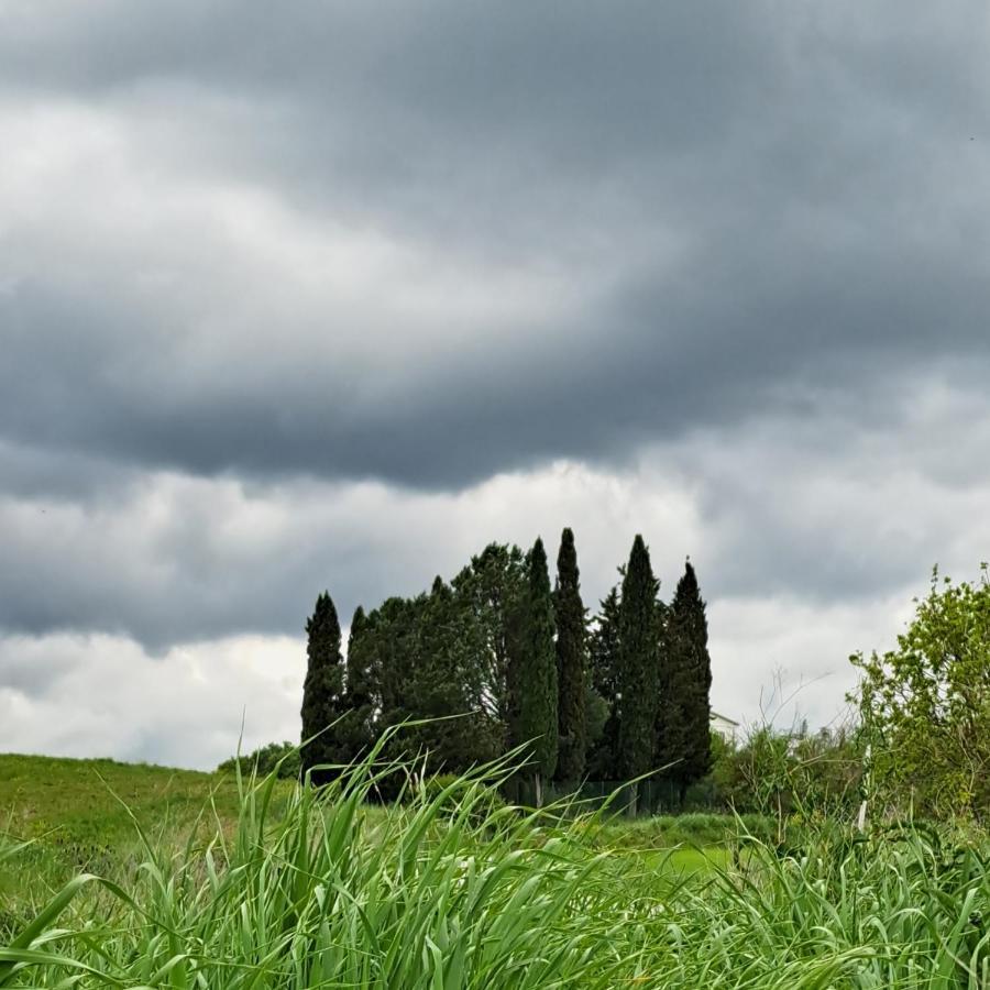 Affittacamere Alba Fiorita Castiglione dʼOrcia Kültér fotó