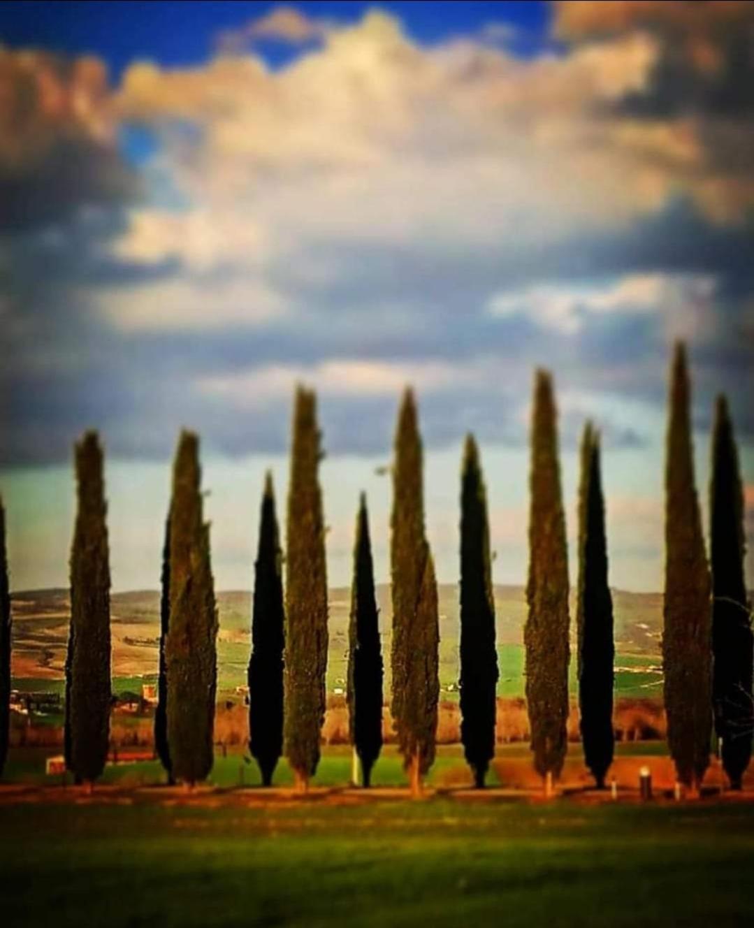 Affittacamere Alba Fiorita Castiglione dʼOrcia Kültér fotó