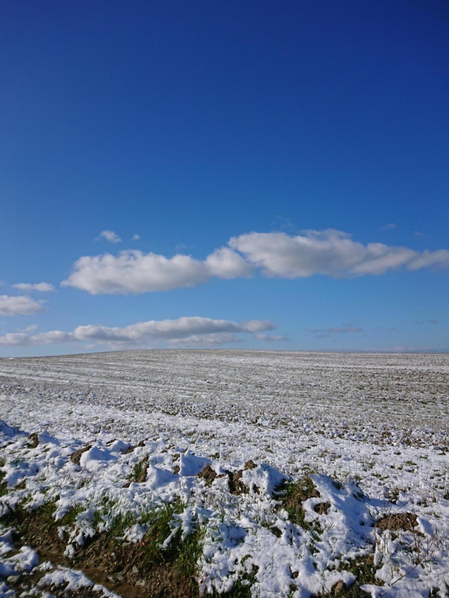 Affittacamere Alba Fiorita Castiglione dʼOrcia Kültér fotó